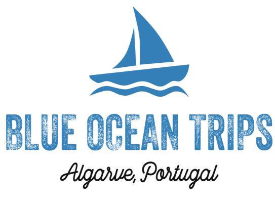 Blue Ocean Trips